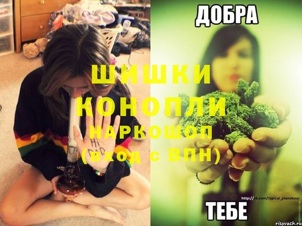 молекула духа Баксан