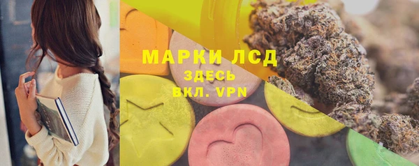 ГАЛЛЮЦИНОГЕННЫЕ ГРИБЫ Дмитриев