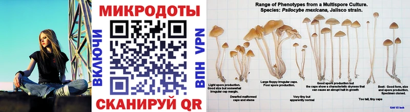 наркотики Гремячинск Галлюциногенные грибы ЛСД