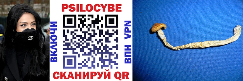Псилоцибиновые грибы MAGIC MUSHROOMS Гремячинск